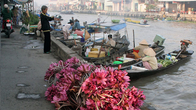 [-]Ngây[-]ngất[-]mùa[-]hoa[-]súng[-]miền[-]Tây